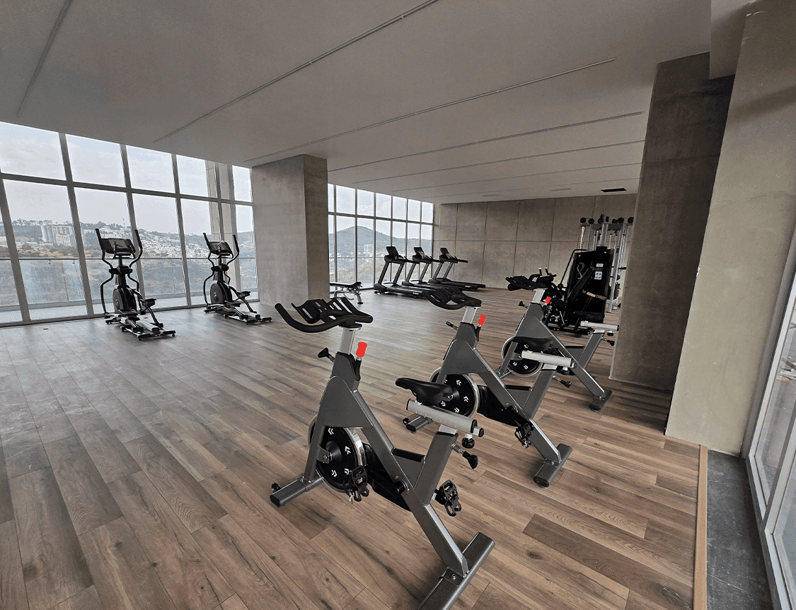 Gimnasio